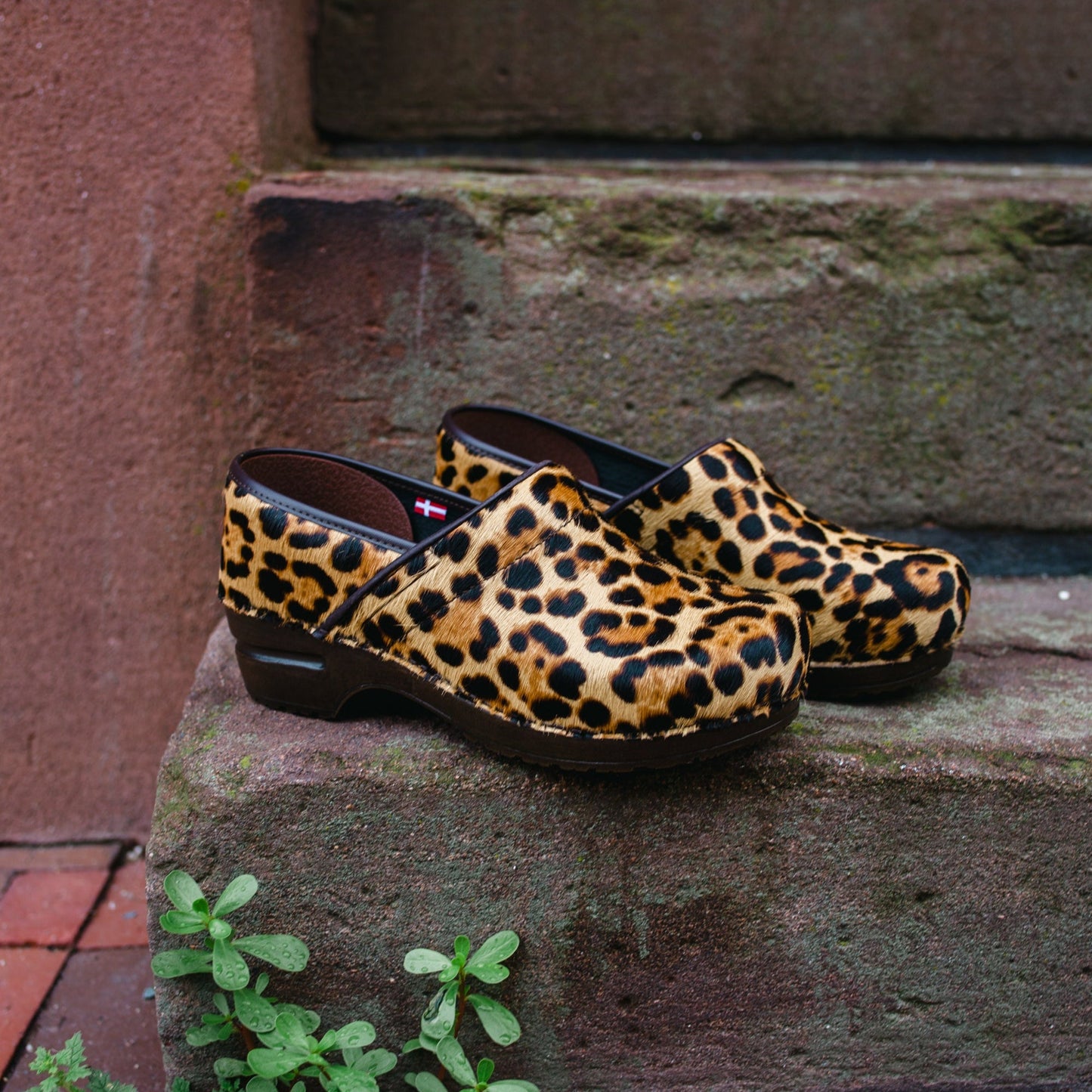 Lyon Women's Clog in Nature | Sanita